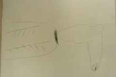 1984-87-Zeichnungen-991